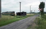 Perna ( Kroniewice-Ostrowy Wskotorowe 1993)